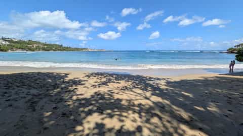 Sandy beach with tree shade, calm turquoise water, and distant coastal development