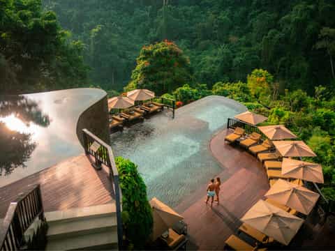 Luxury infinity pool overlooking dense tropical forest with loungers and umbrellas on wooden deck