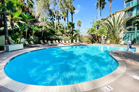 Large oval swimming pool with lounge chairs and palm trees in a resort setting
