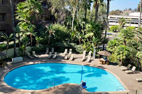 Curved resort pool surrounded by palm trees, lounge chairs, and tropical landscaping with hillside views