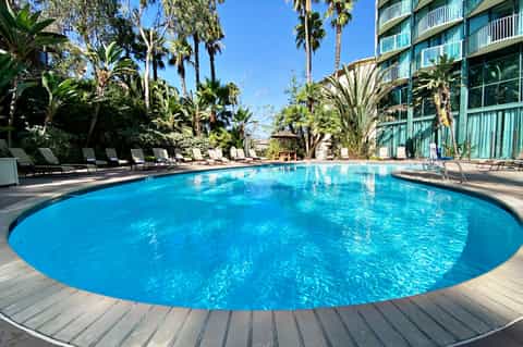 Large circular blue pool surrounded by palm trees and lounge chairs at resort