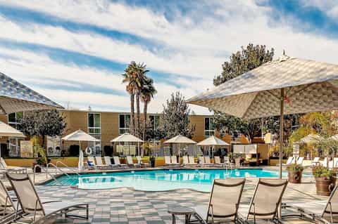 Resort pool area with lounge chairs, umbrellas, and large shade structures surrounded by palm trees