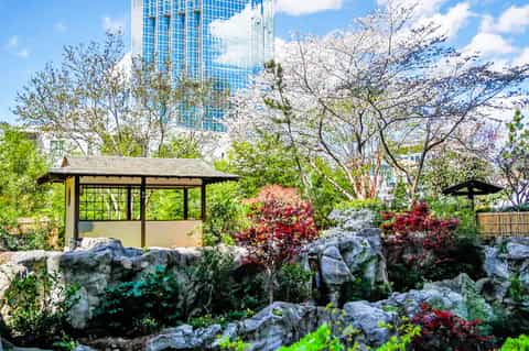 Urban garden with blooming trees, rocks, and wooden pavilion overlooking city skyline