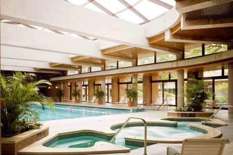 Indoor aquatic center with large swimming pool, hot tubs, tropical plants, and skylights
