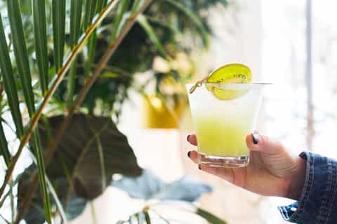 Person holding tropical cocktail with lime slice garnish near palm fronds in daylight