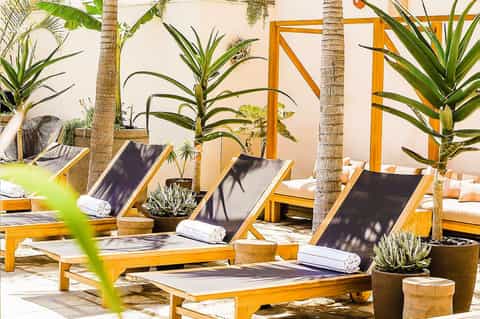 Outdoor lounge area with wooden sunbeds, black cushions, palm trees, and yellow metal framework against a beige wall