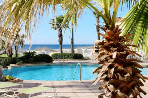 Beachfront resort pool with palm trees, loungers, and ocean view beyond white sand fence