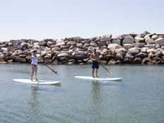 Paddleboard Rental
