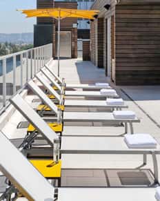 Reserved Lounge Chair
