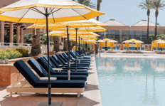 Poolside Lounge Chair