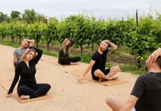 Vineyard Yoga Flow