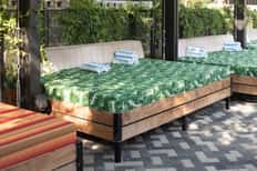Daybed for 14