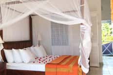 All-Inclusive Day Room + Transportation