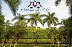 Yoga on the Lawn