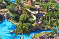Family Poolside Day Pass + Food & Beverage Credit