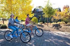 Bike Rental