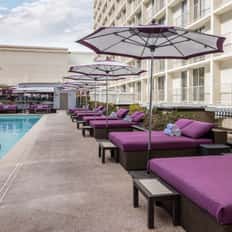 Premium Poolside Daybed