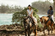 The Stables at Turtle Bay Horseback Trail Ride