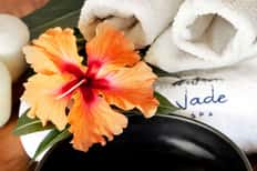 50-Minute Feet, Hands, and Scalp Massage + Day Pass