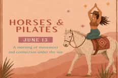 Pilates and Horses