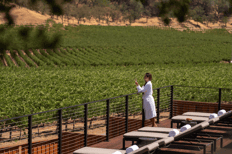 Spa Talisa Day Pass