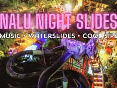 Nalu Night Slides