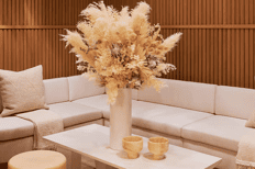 25-Minute Therabody Recovery Session + Spa Access