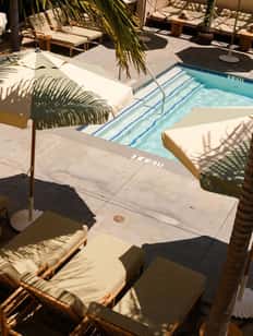 Day Pass + Premium Dining Credit