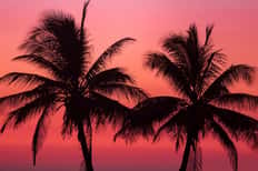Off Hours: Sunday Reset
