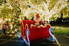 Holiday Activity Pass