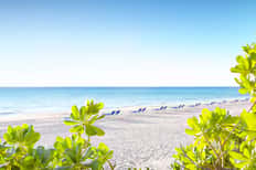 Beach Chairs