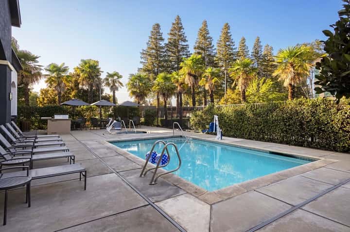 Resort swimming pool surrounded by tall pine trees, palm trees, lounge chairs, and modern buildings