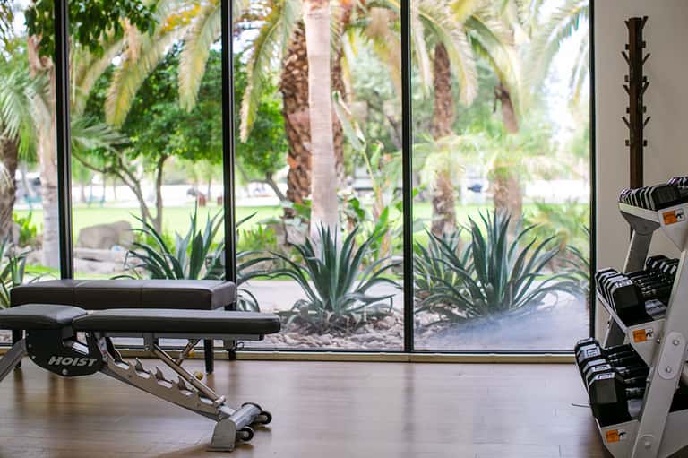 Fitness center with equipment and large windows overlooking palm trees and park