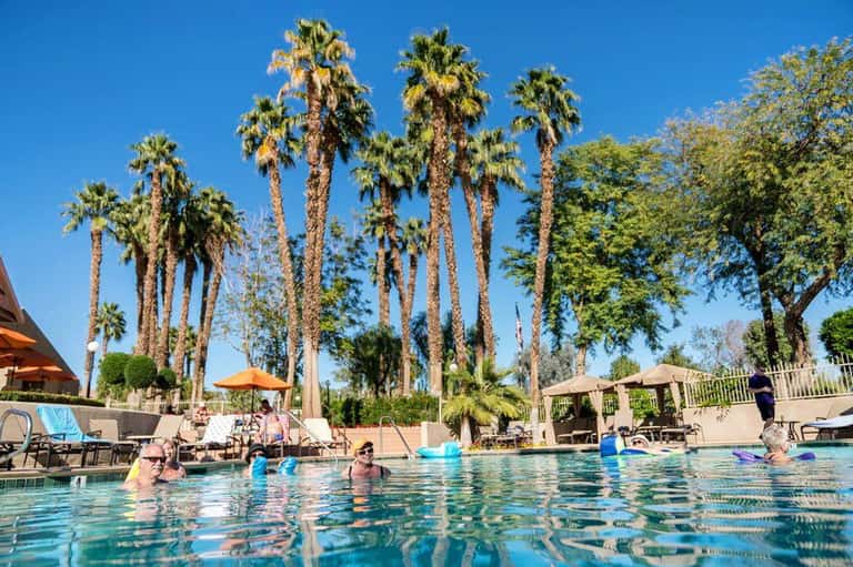 Resort pool with guests swimming, surrounded by tall palm trees and clear blue sky