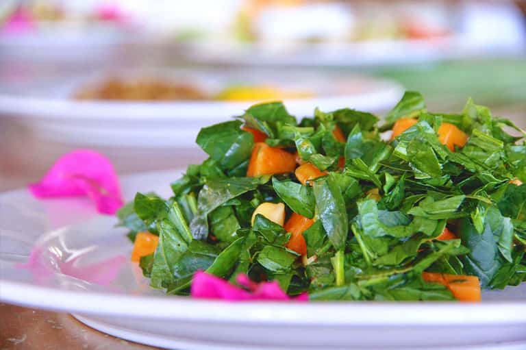 Plate of fresh green salad with orange vegetables and pink flower garnish