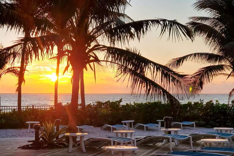 Sunset beach scene with palm trees, loungers, and calm ocean waters at golden hour