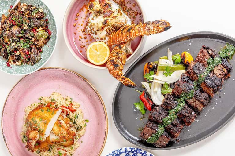 Fine dining spread featuring grilled lobster, steak with chimichurri, and seafood dishes on colorful plates