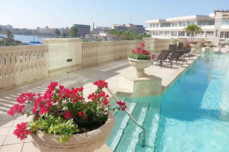 Luxury rooftop pool with turquoise water, pink flowers, and city skyline view