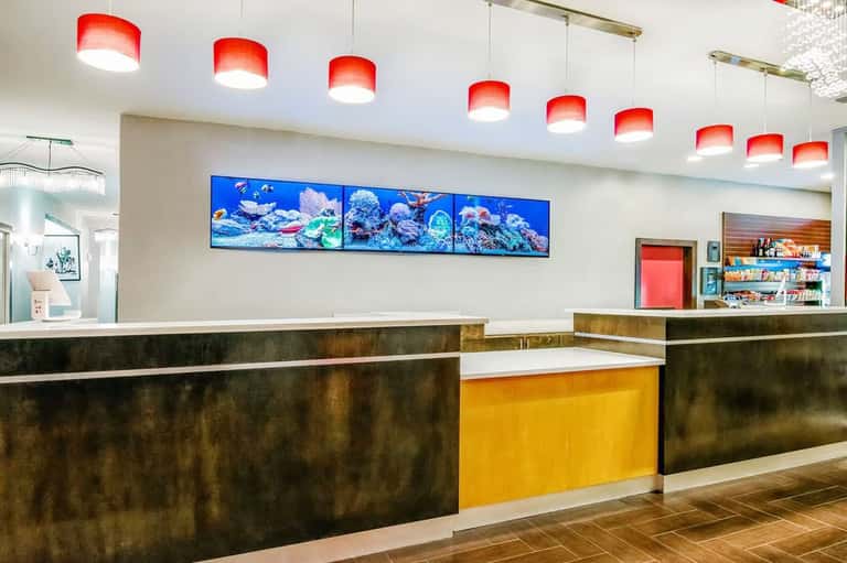 Modern hotel reception desk with coral pendant lights and coral reef artwork