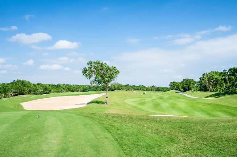 Golf course fairway with manicured grass, sand bunker, and tree