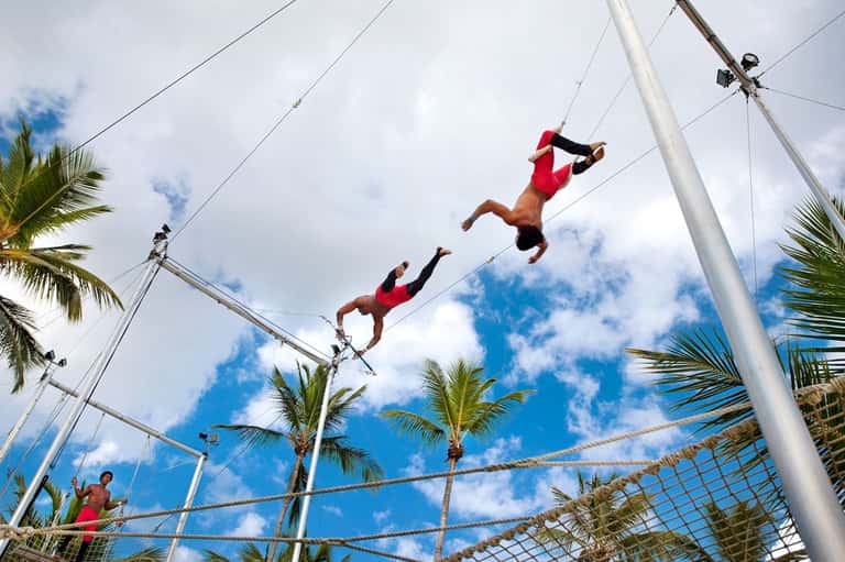Trapeze artists performing mid-air over safety net with palm trees and blue sky background