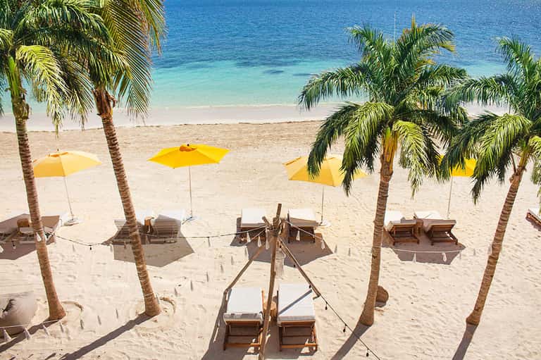 Sandy beach with palm trees and yellow umbrellas shading wooden beach loungers by clear ocean