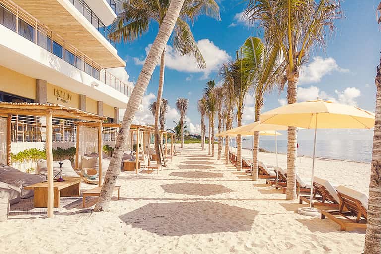 Beach promenade with palm trees, wooden cabanas, yellow umbrellas, and ocean view