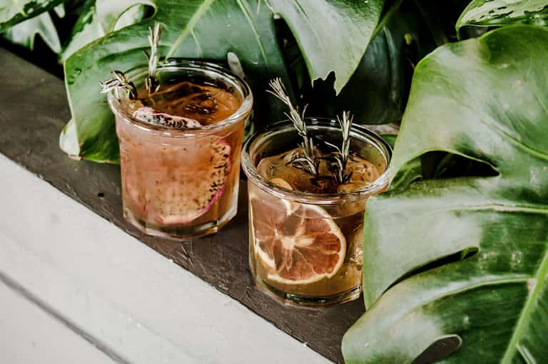 Two cocktails with ice and rosemary garnish on slate surface with tropical green leaves