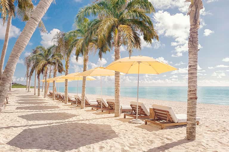Palm tree-lined beach with yellow umbrellas and lounge chairs facing turquoise ocean