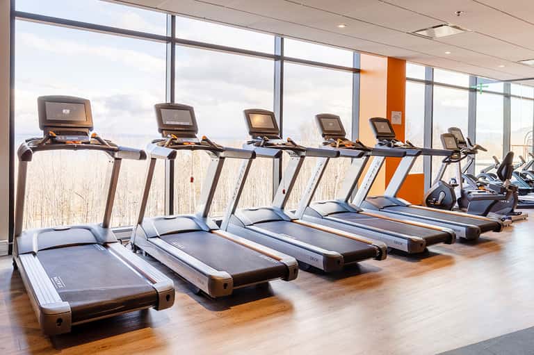 Modern gym with row of treadmills facing floor-to-ceiling windows overlooking bare trees and landscape