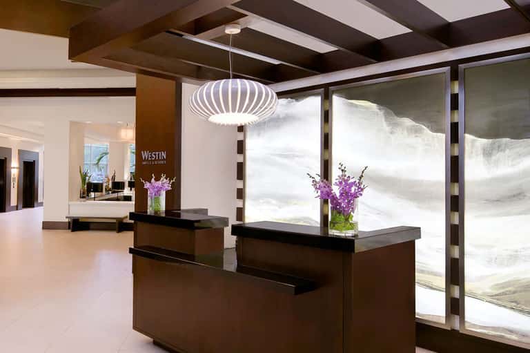 Modern hotel lobby with dark wood reception desk, purple flowers, and large windows