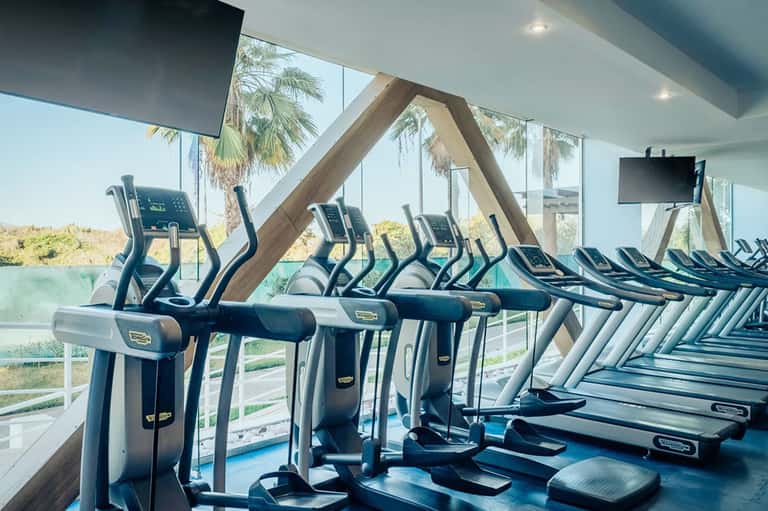 State-of-the-art fitness center with elliptical machines and treadmills overlooking pool and palm trees