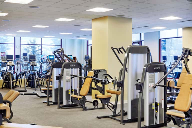 Modern gym facility with cardio equipment, exercise machines, and large windows overlooking trees