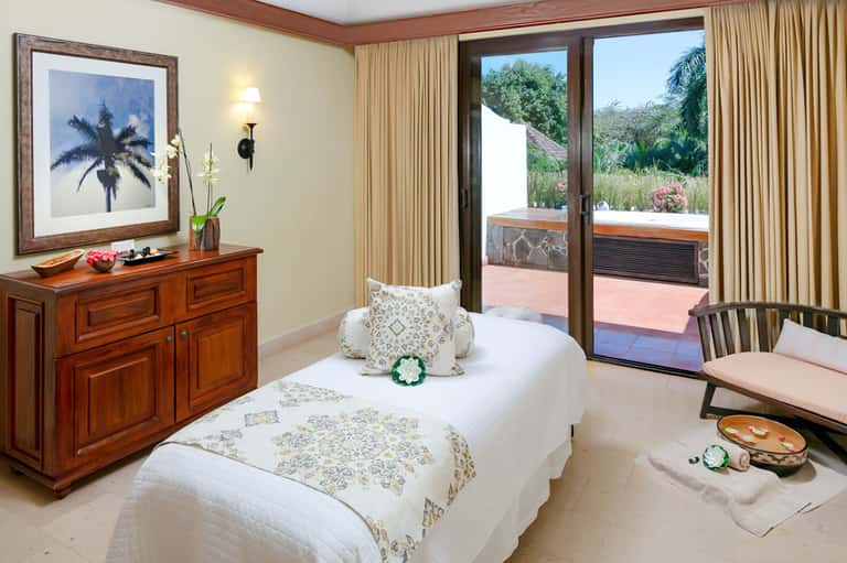 Spa treatment room with massage bed, palm artwork, wooden dresser, and glass doors opening to terrace garden